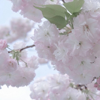 Furry兽圈创作趋势兽圈社群